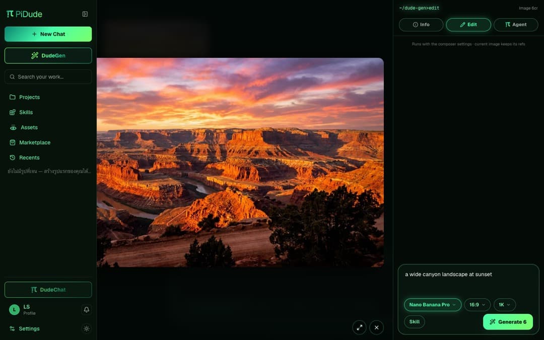 Landscape image in the skill viewer